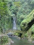 sulawesi 4